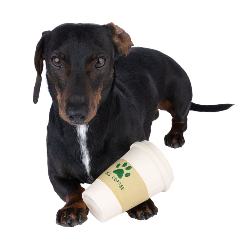 TIAKI Coffee Latex Dog Toy 8 x 12cm (diameter x H)