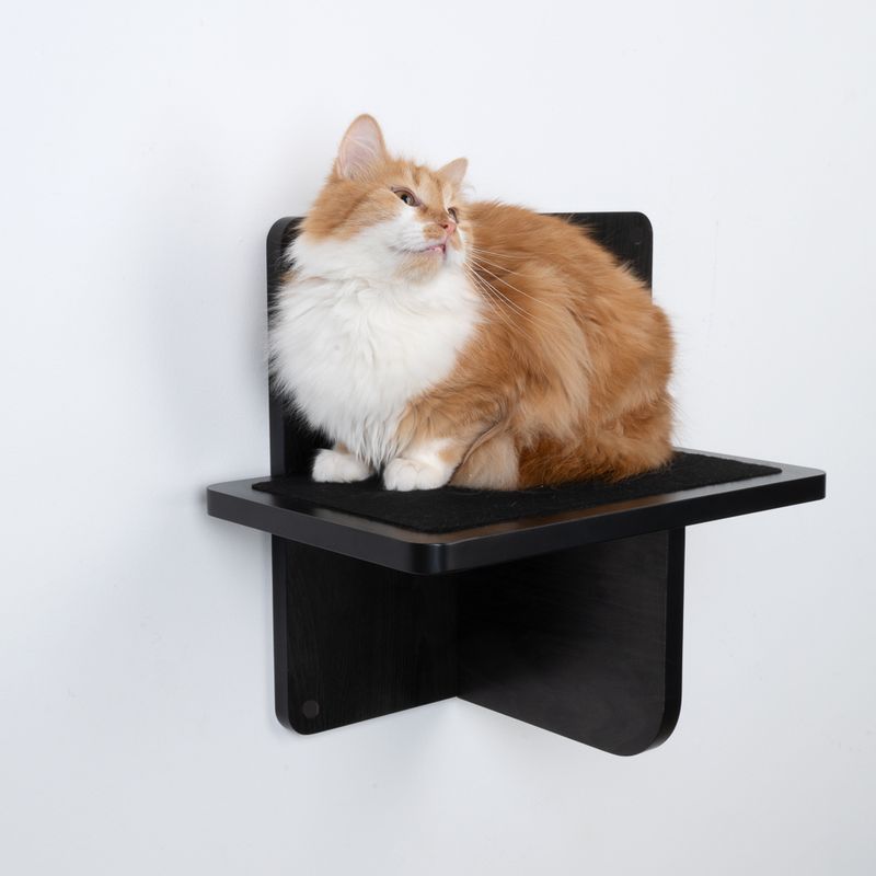 Modern Living Platform San Francisco Black