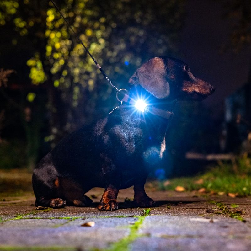 Nomad Tales Spirit USB Light Pendant Black