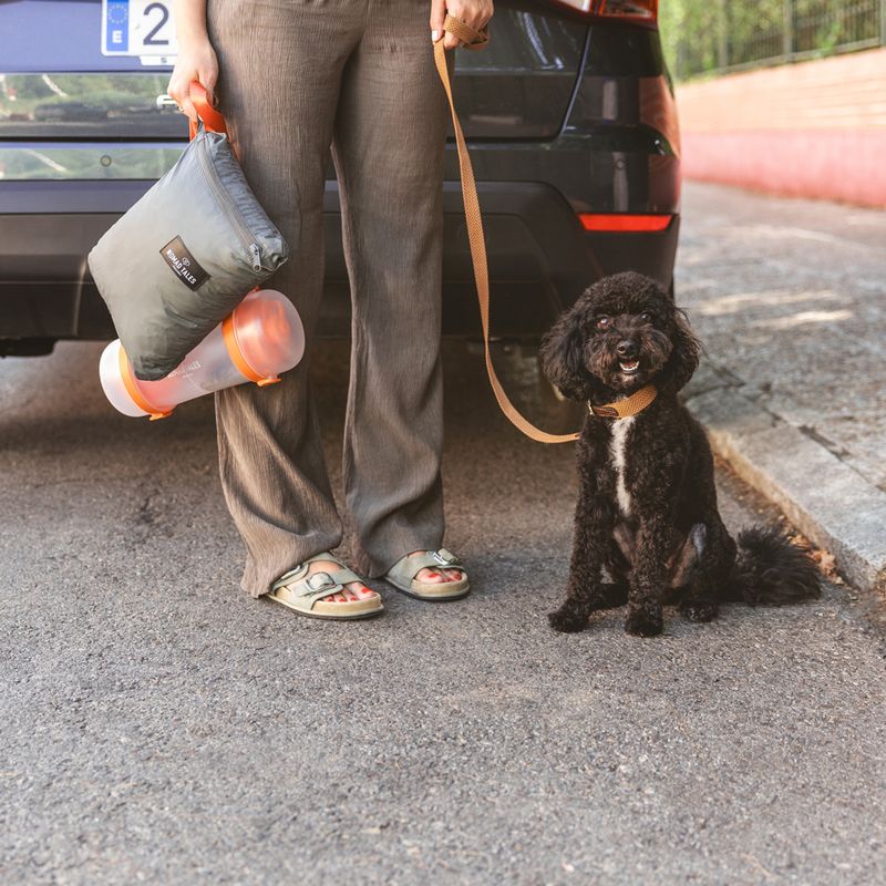 Nomad Tales Spirit Scallion Outdoor Dog Mat 137 x 80 cm (L x W)