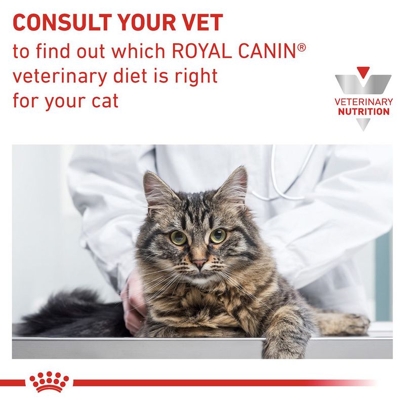 Royal Canin Veterinary - Gastrointestinal in Gravy 12 x 85g
