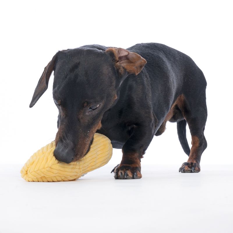 TIAKI Happy Banana Plush Dog Toy approx. 20 x 6.5 cm (L x W)