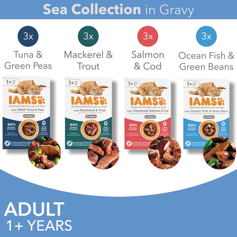 IAMS Advanced Nutrition Adult – Sea Collection Sea Collection in Jelly (12 x 85g)