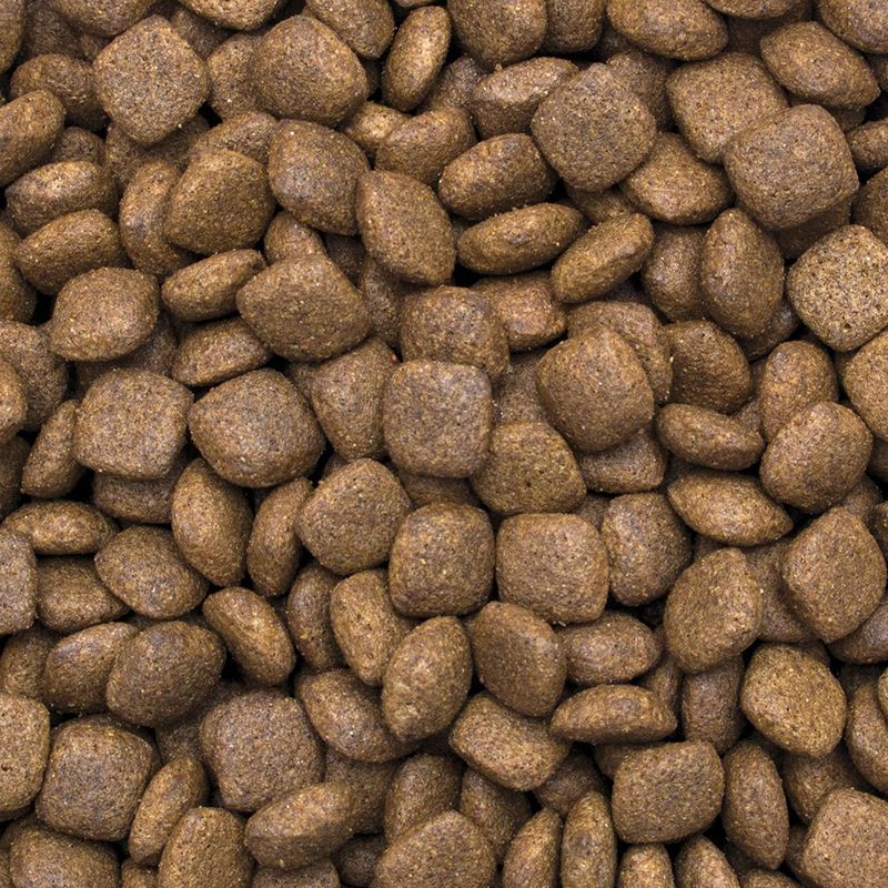 Tropidog Premium Adult Medium & Large Salmon 12kg