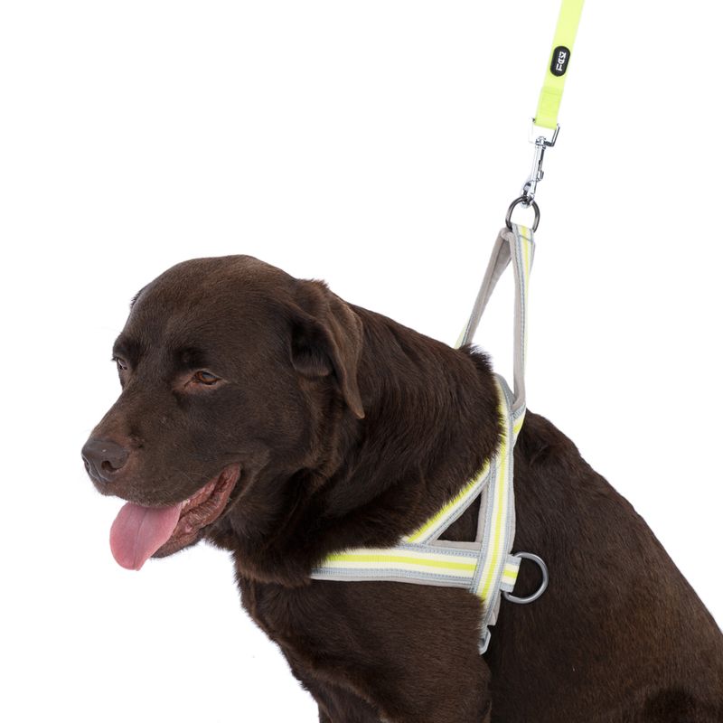 TIAKI Glow in the Dark Lead 120cm x 20mm (L x W)