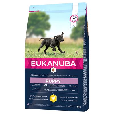 Eukanuba Puppy Large Breed Chicken 15kg