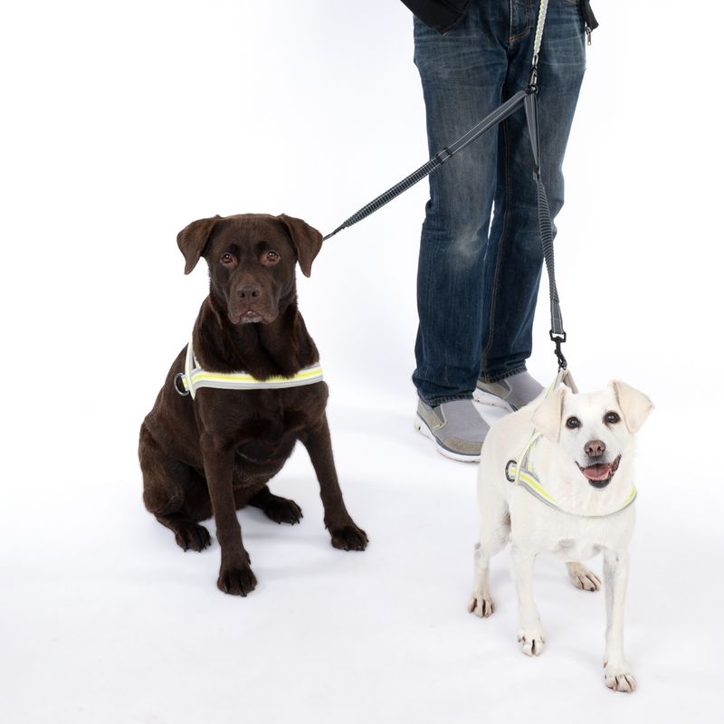 TIAKI Double Bungee Lead Extension Length: approx. 40-70cm