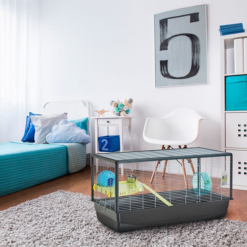 Savic Hamster Plaza Knock Down Size XL: L 100 x W x H 50 cm