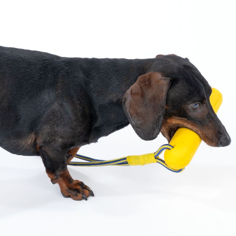 Nomad Tales Bloom EVA Stick with Rope 1 Toy