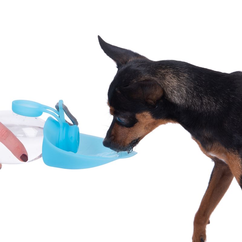 Smartpet Travel Drinking Bottle 500ml, blue