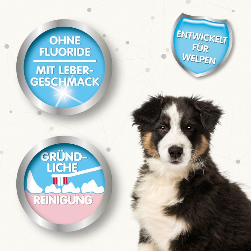 Beaphar dental hygiene set for puppies 1 piece