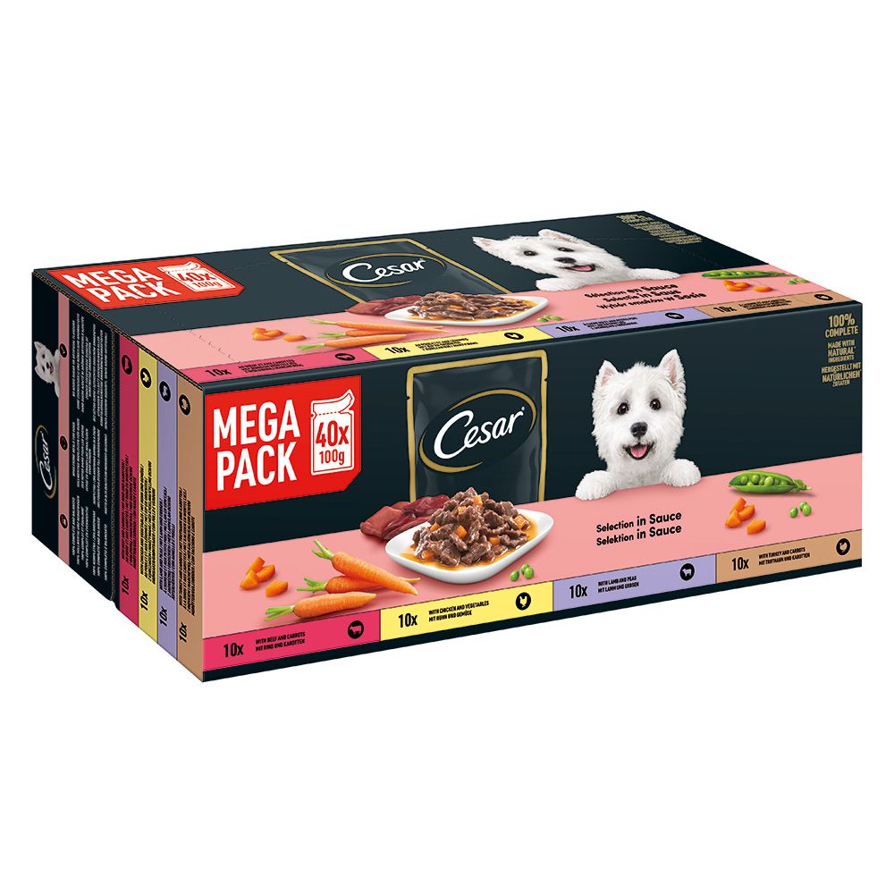Cesar Pouches Deliciously Fresh Favourites in Sauce 40 x 100g