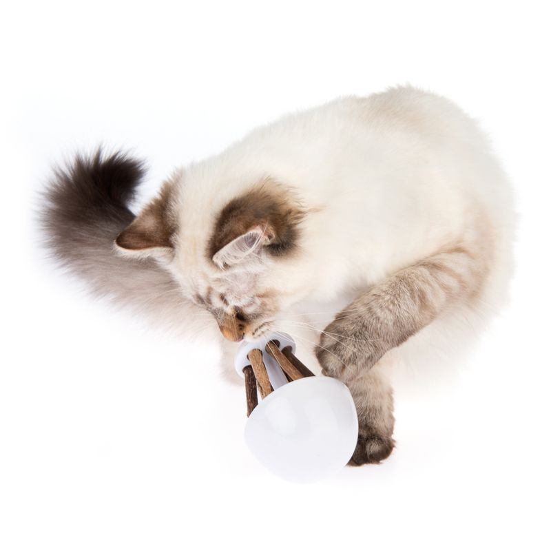 Rocky Cat Toy with Catnip 1 Toy