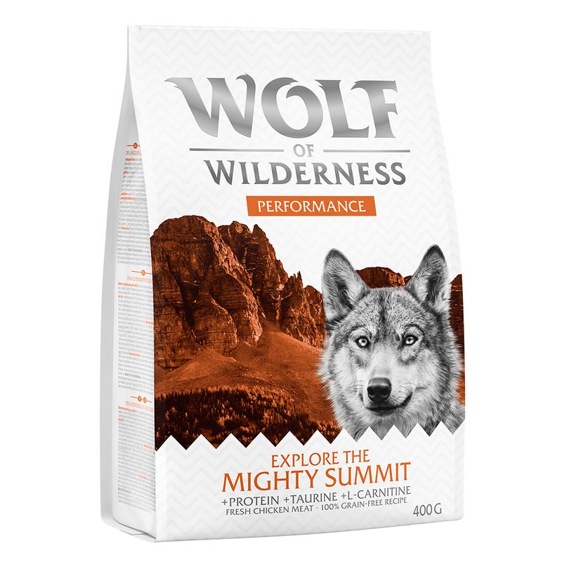 Wolf of Wilderness \