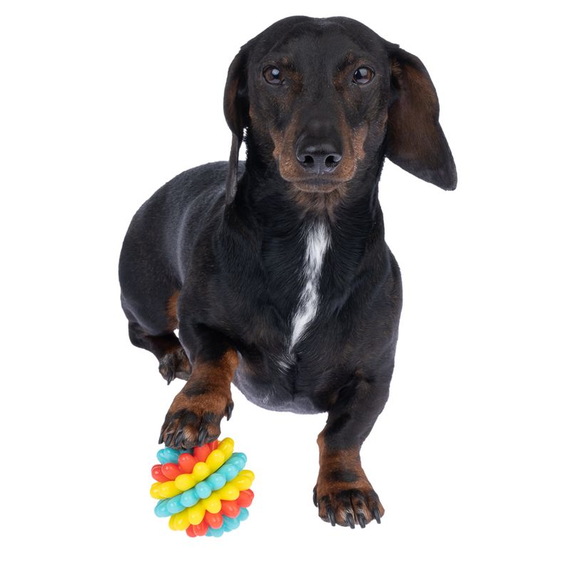 TIAKI Colourful TPR Chew Toy diameter 7.5cm
