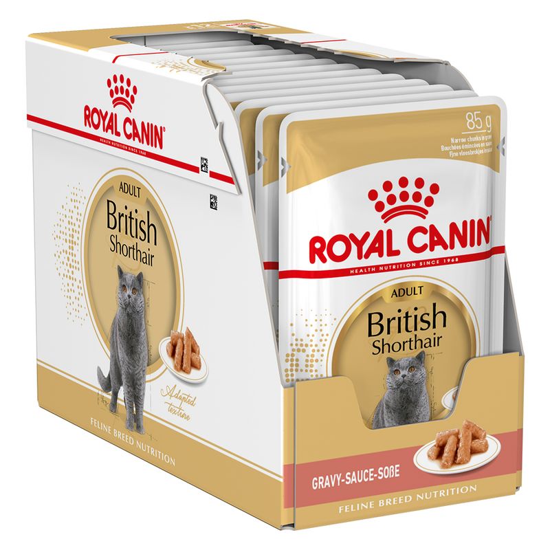 Royal Canin British Shorthair Adult in Gravy 12 x 85g