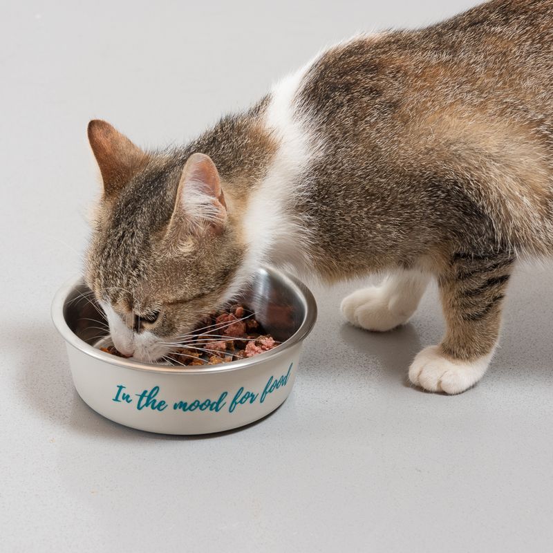 TIAKI stainless steel bowl \