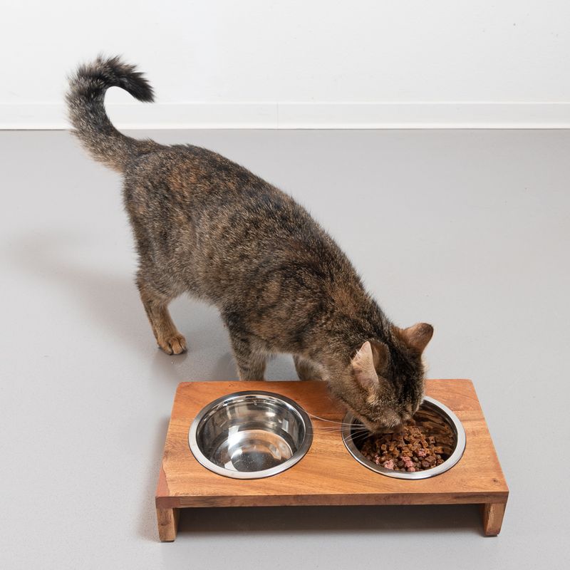 Modern Living Nellore wooden bowl bar 2 x 400 ml, diameter 13 cm