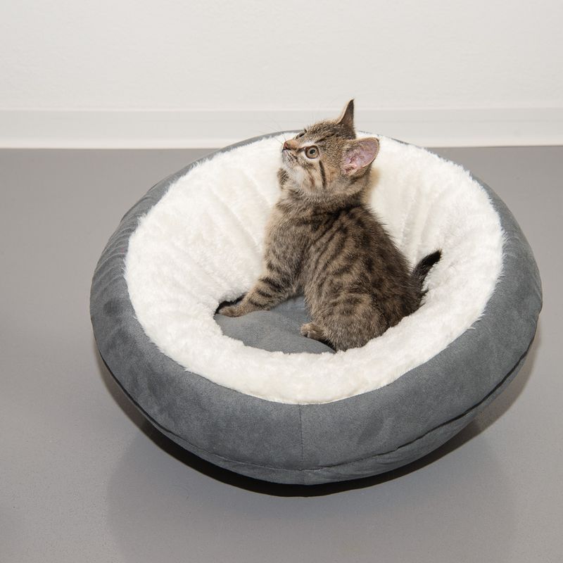 Ellora Cat Den diameter 43 x (H) 34 cm