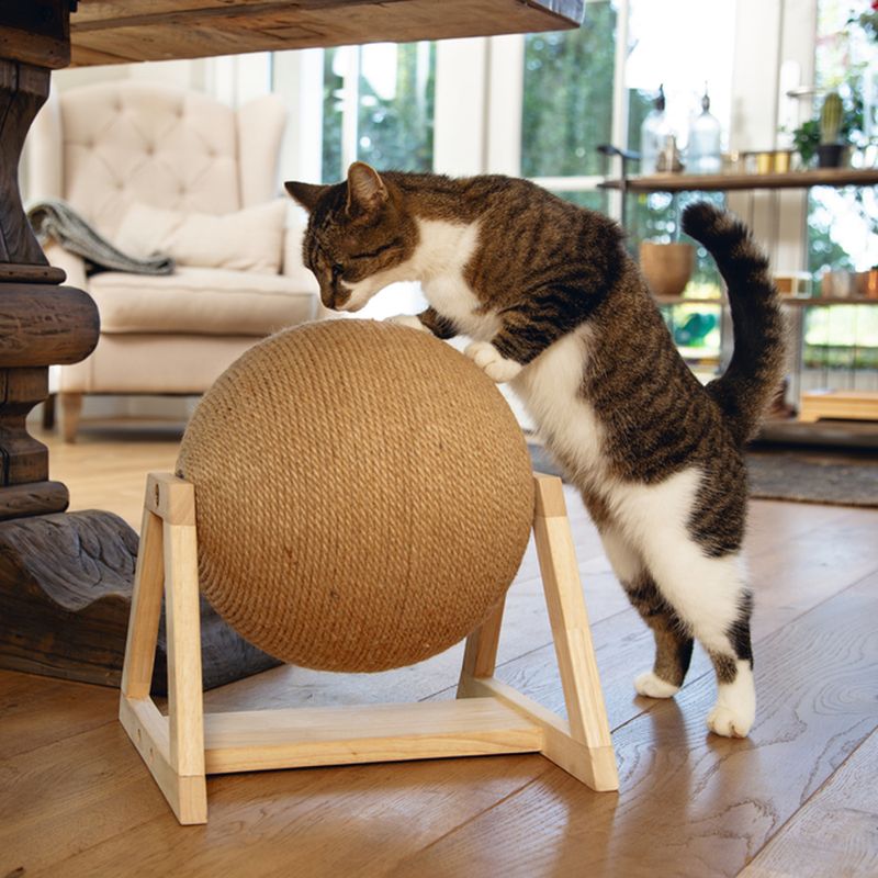 Designed by Lotte Xem Scratching Ball with Base 34 x 30 x 35.5cm (L x W x H)