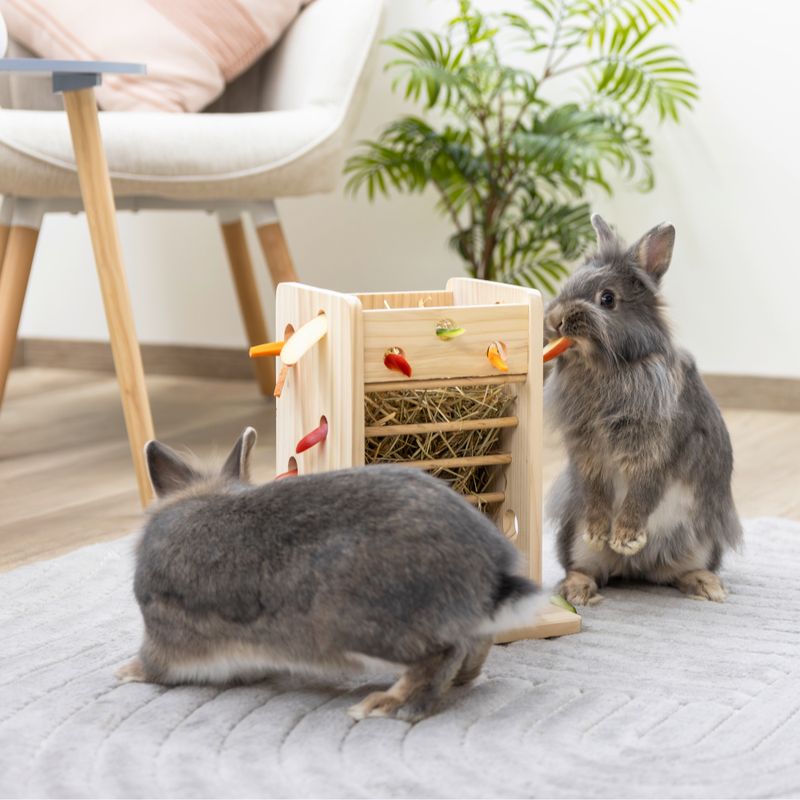 Kerbl Pet Hay and Vegetable Tower for Small Animals 24 x 24 x 30cm (L x W x H)