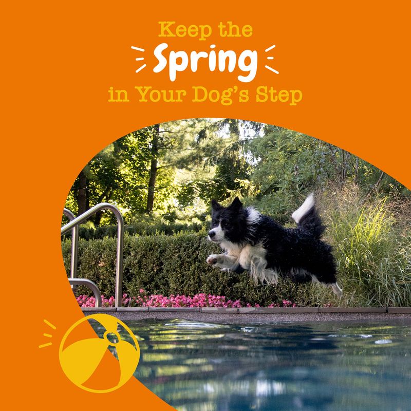 Zesty Paws Hip & Joint Chews Mobility - Turkey 90 Chews