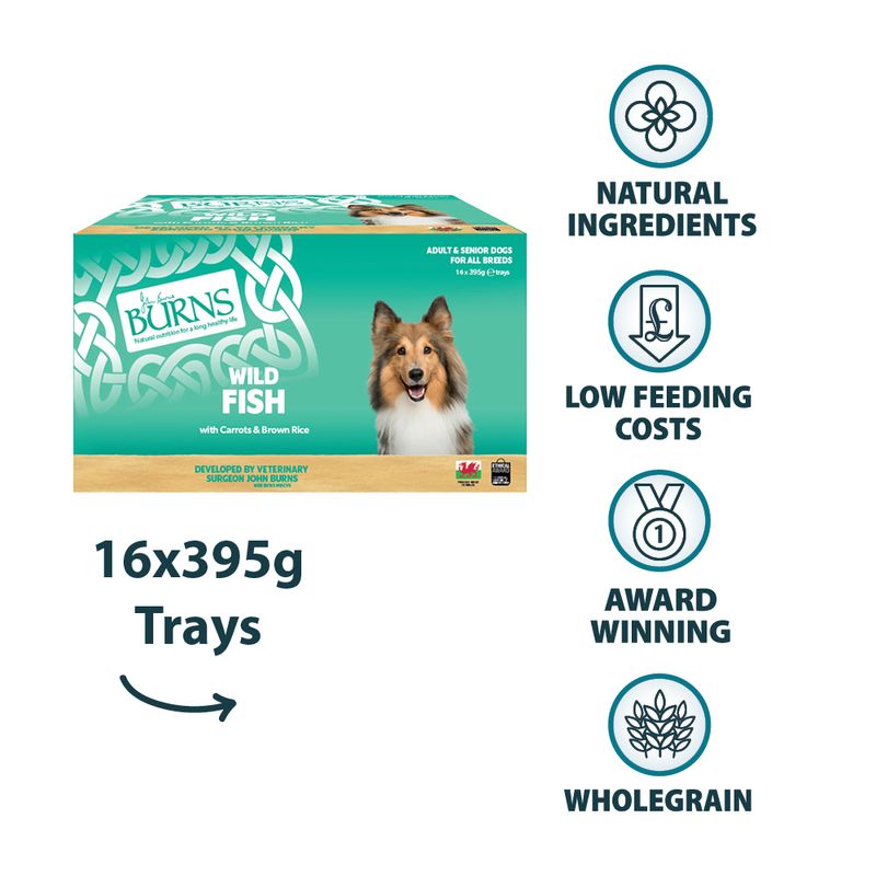 Burns Wet Food for Dogs 16 x 395g Chicken