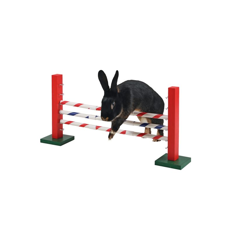 Kerbl Pet Agility Steep Jump for Rodents 70 x 5 x 35cm (L x W x H)