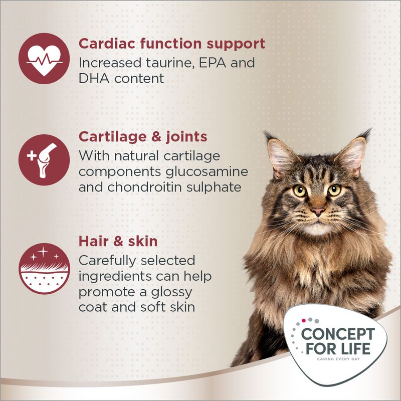Concept for Life Maine Coon Adult 400g