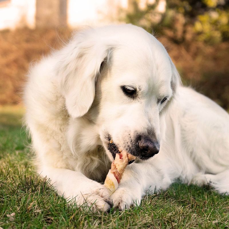 8in1 Triple Flavour Rolls Chew Sticks 3 Sticks