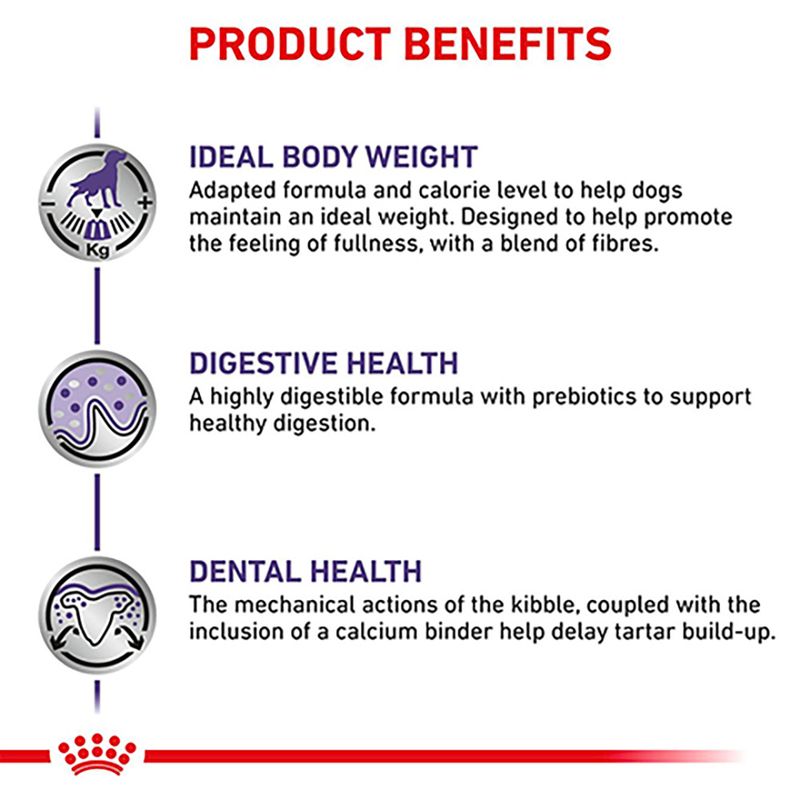 Royal Canin Expert - Neutered Adult Small Dog 3.5kg