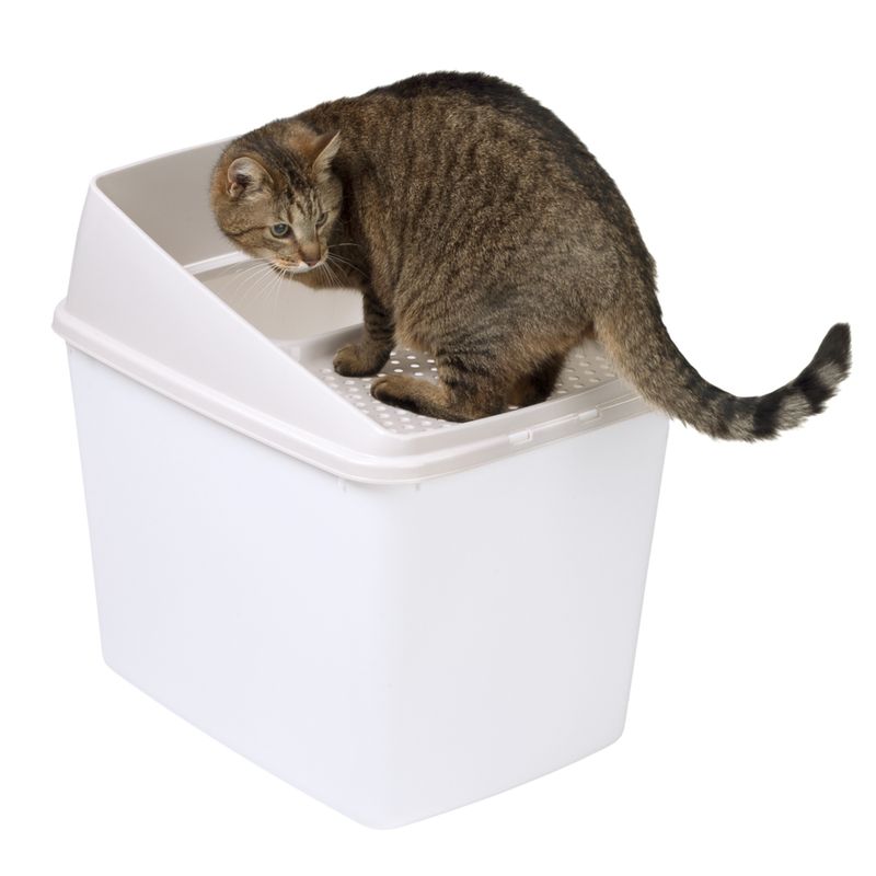 Big Box Cat Litter Tray White