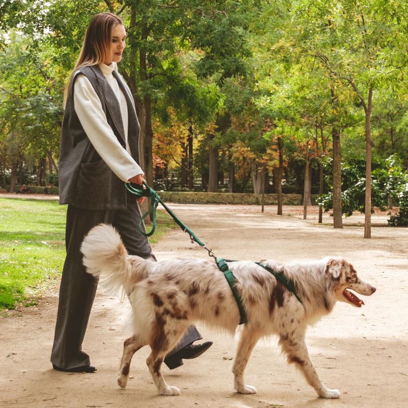 Nomad Tales Blush Harness - Emerald Size XS: 34 - 49 cm chest circumference, W 15 mm