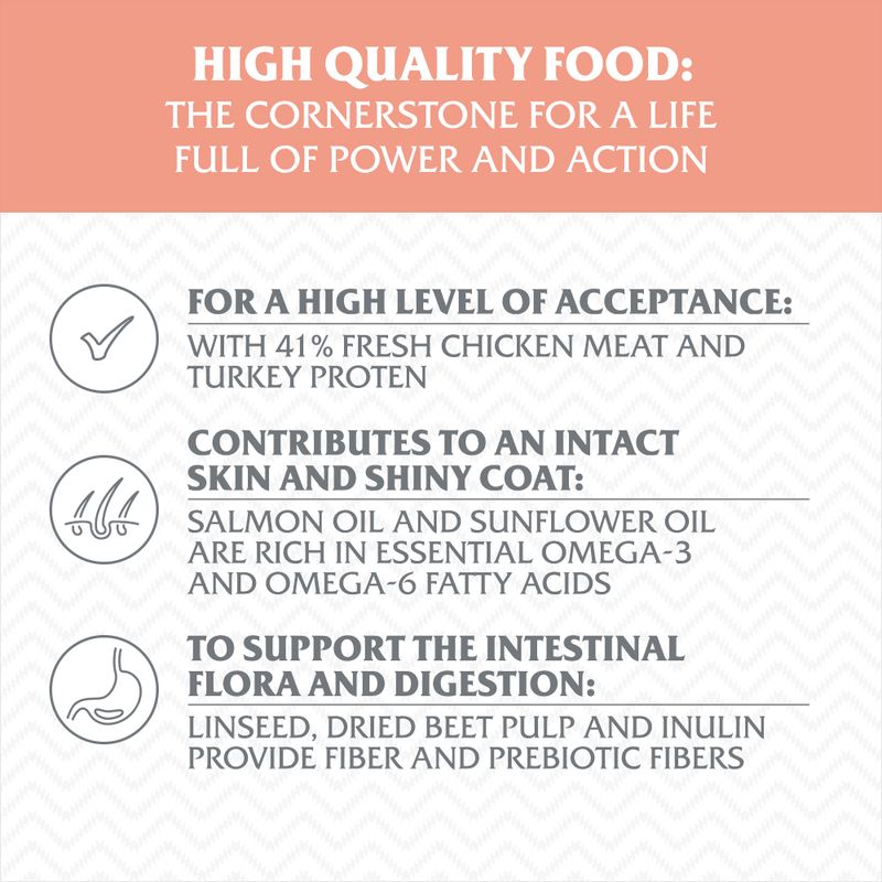 Wolf of Wilderness Adult \