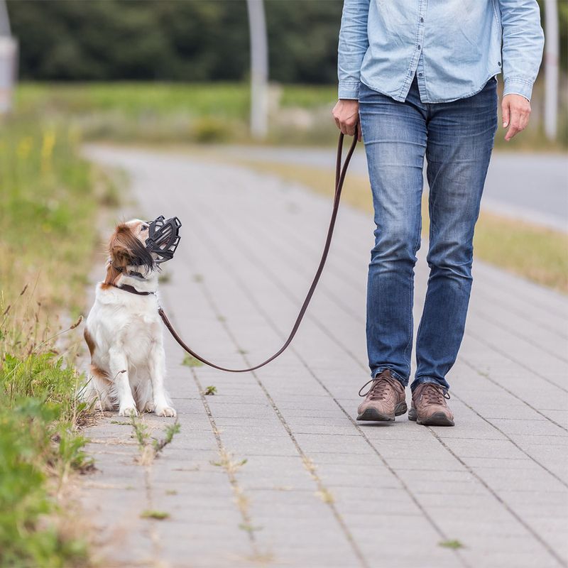 Trixie Flex Rubber Muzzle Size S: Jack Russell, Miniature Poodle