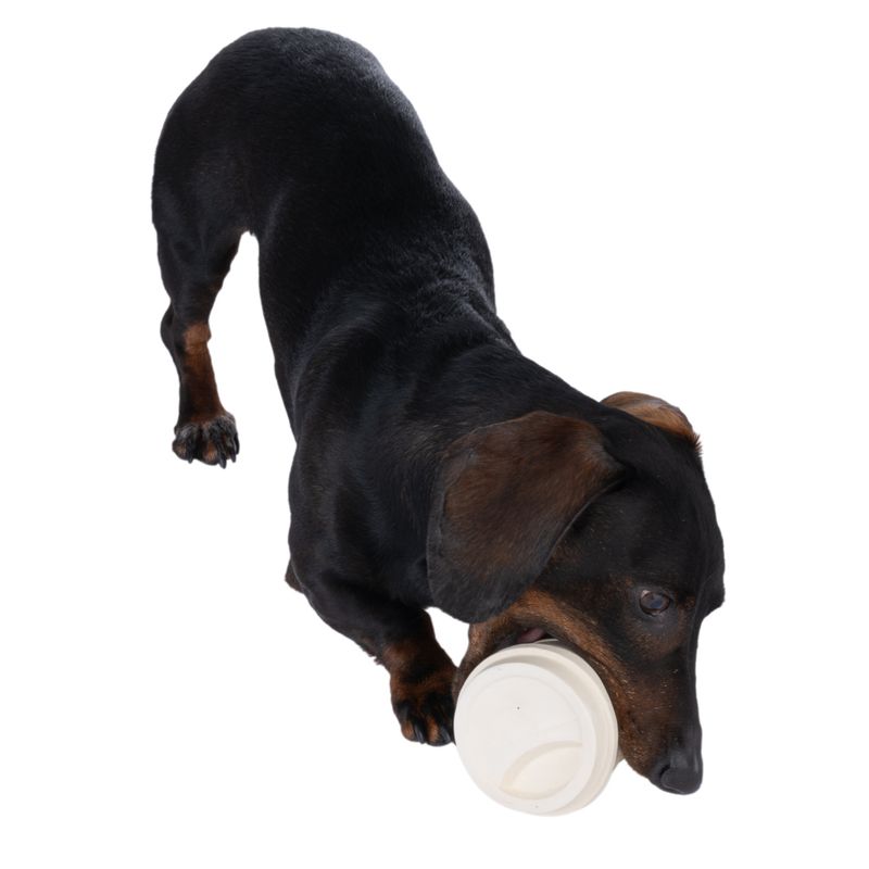 TIAKI Coffee Latex Dog Toy 8 x 12cm (diameter x H)