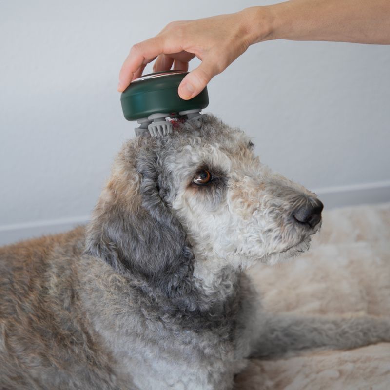 kooa Massager approx. 9.5 x 7cm (diameter x H)