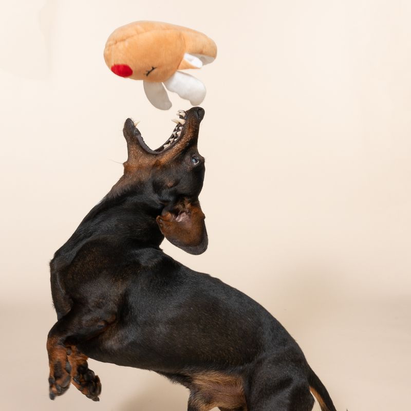 TIAKI Reindeer Slipper Plush Toy 20 x 11 x 6 cm (L x W x H)