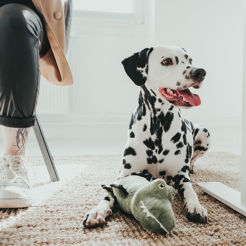 HUNTER Tough Toys Crocodile Dog Toy 27 x 14 x 11 cm (L x W x H)