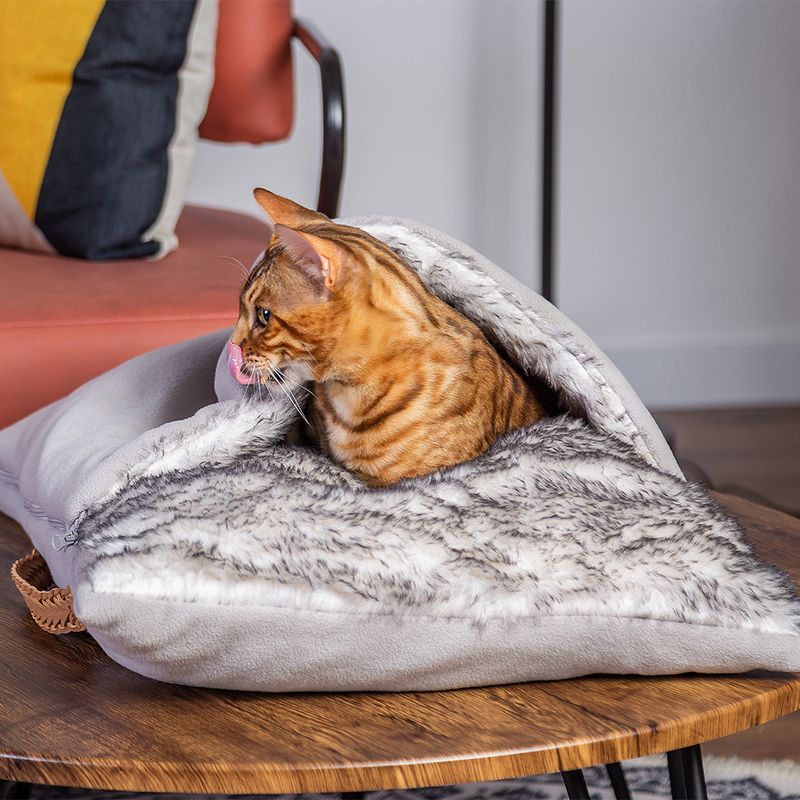 Modern Living Nairobi Cuddly Cushion 65 x 45 x 15cm (L x W x H)