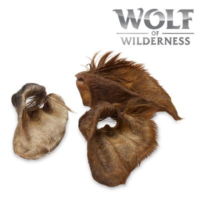 Wolf of Wilderness “High Valley” – Dried Cows’ Ears with Fur 120g (approx. 3 pcs)
