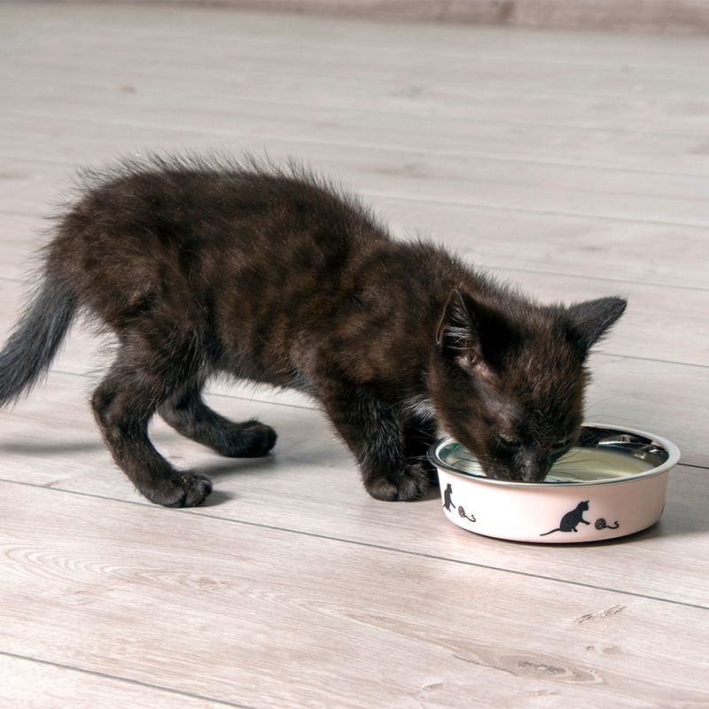 Karlie Ascar Stainless Steel Cat Bowl Pink: 160ml, diameter 10cm