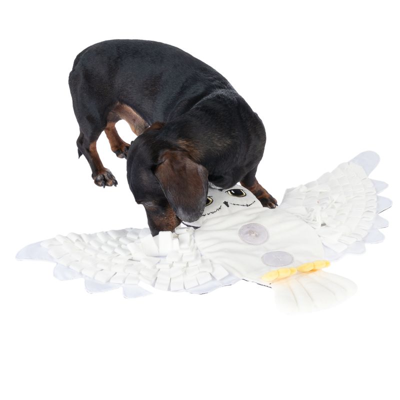 Harry Potter Hedwig Sniffer Mat approx. 68 x 38 cm (L x W)