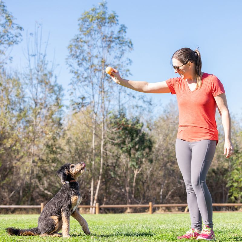 Chuckit! Birthday Fetch Ball 6.5 cm (W)