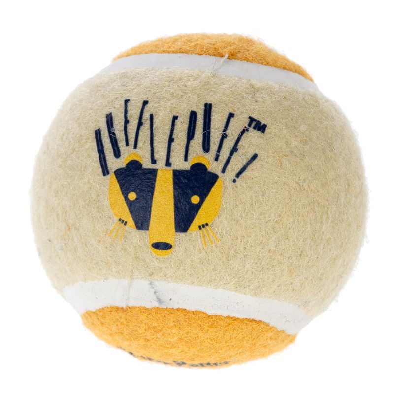 Harry Potter Hogwarts Tennis Ball Set 4 Balls (diameter 6.3cm each)