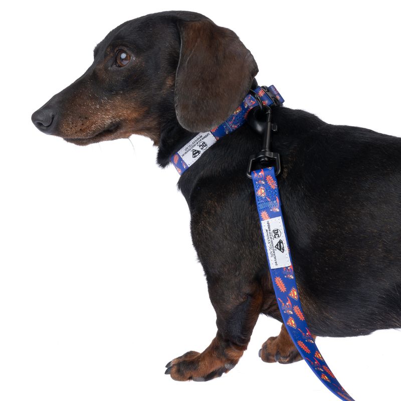 DC Superman Collar - Blue Size S: Neck Circumference 25 - 36 cm, Width 20mm