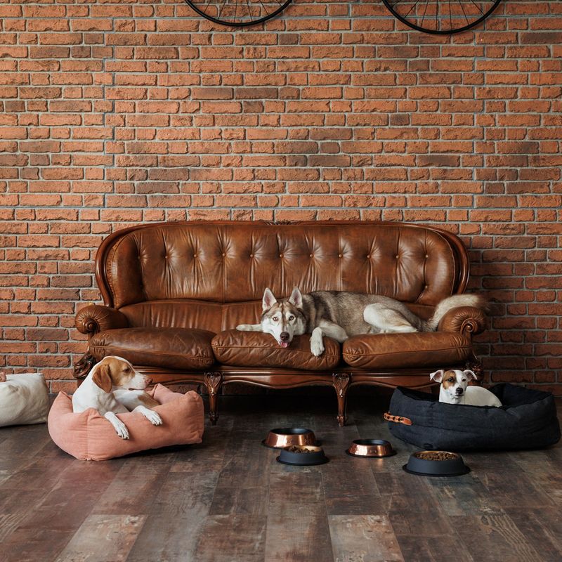 Modern Living Maipu Food Bowl 200ml (15.5cm diameter)