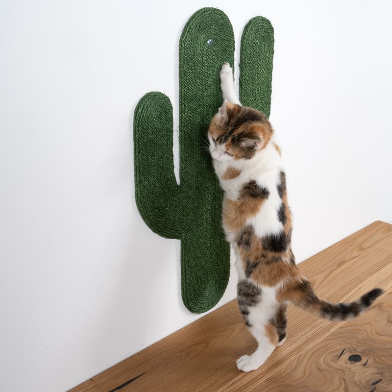 TIAKI Mojave Scratching Board Dark green