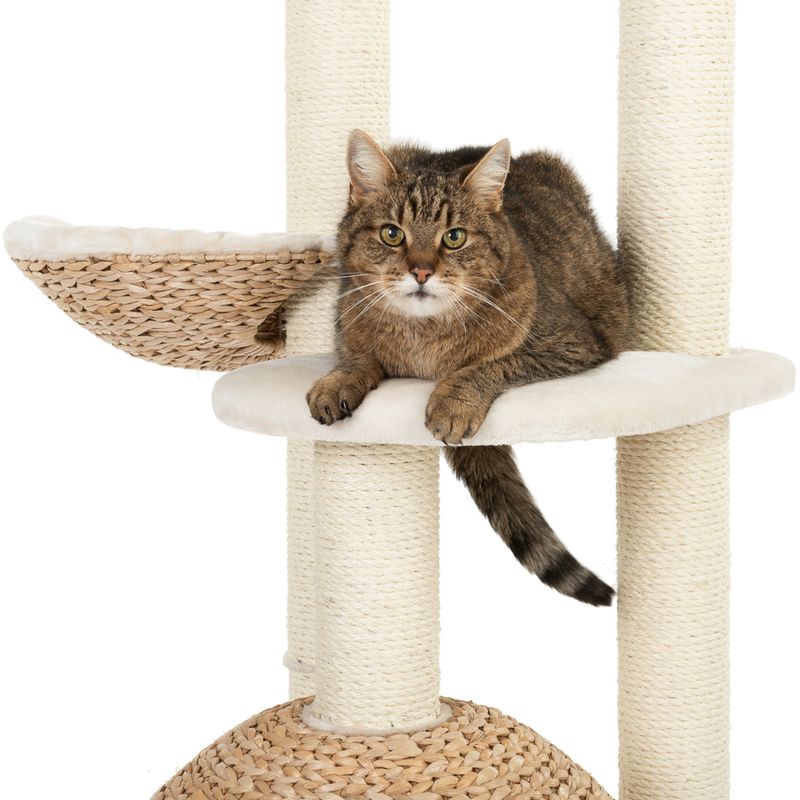 Laguna Cat Tree Cream