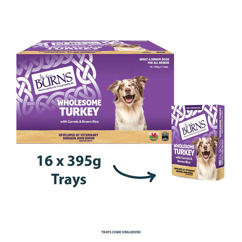 Burns Wet Food for Dogs 16 x 395g Chicken